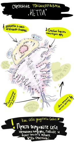 Preview f79b833f b1c6 4771 ad81 665aa74af61c